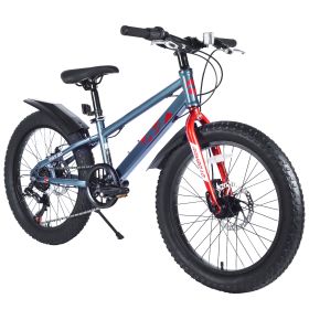 20 Inch Kids Bicycles , Fat Tire Mountain Bike for Boys and Girls Age 5 + Years ,7-Speed Dual-Disc Brake ,Kids Beach and Snow Bicycle